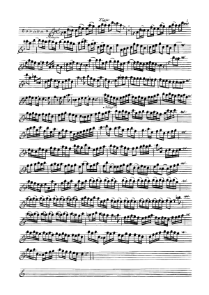 Schultzen, A. H. | VI Sonate a flauto solo con cimbalo o vero fagotto (1703)